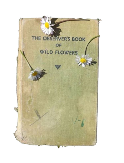 jiwoong pic (@wiivllivnews)